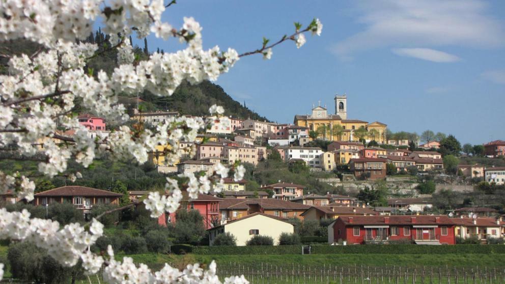 Bed and Breakfast Aurora Cavaion Veronese Exterior foto